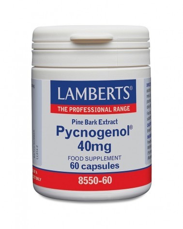 Pycnogenol 60 Cápsulas Lamberts