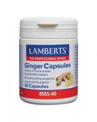 Gengibre 120 Mg. 60 Cápsulas Lamberts