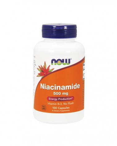 Niacinamide 500 Mg 100 Cápsulas Now