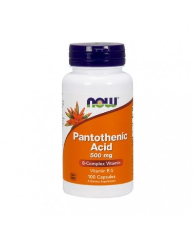 Vit B 5 - Pantothenic Acid 500 Mg - 100 Cápsulas Now