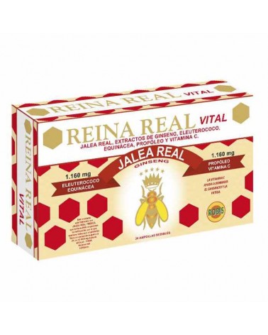 Geleia Real Vital 30 Ampolas Robis