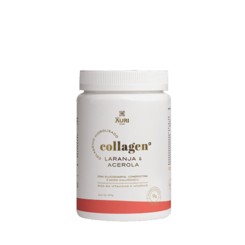 Colagénio Laranja Com Acerola 300 G Auri Foods