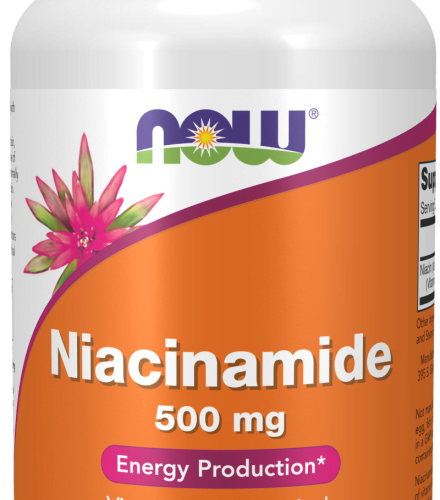 Niacinamide (B-3) 500 mg 100 Capsules Now