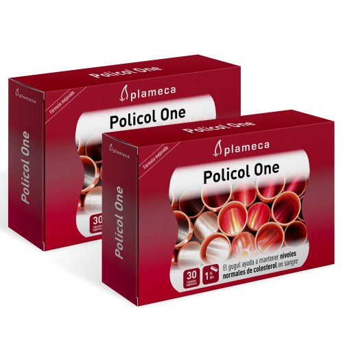Pack Colesterol (Policol One)  Plameca